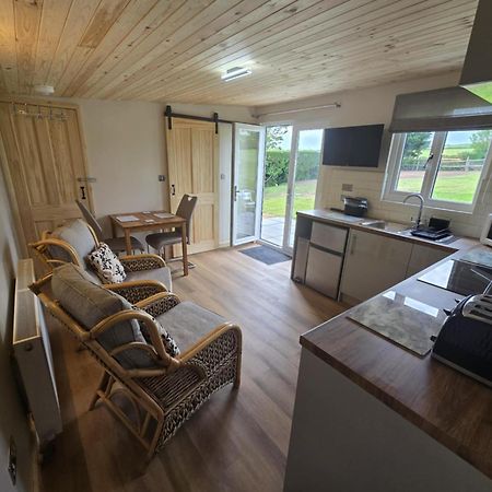 Dunroaming Cabin Pendine Ngoại thất bức ảnh
